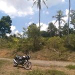 buy property in sri lanka