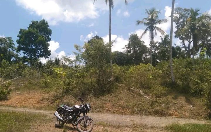 buy property in sri lanka