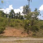 buy property in sri lanka