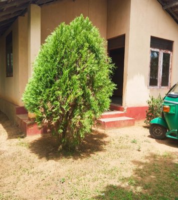 buy property in sri lanka