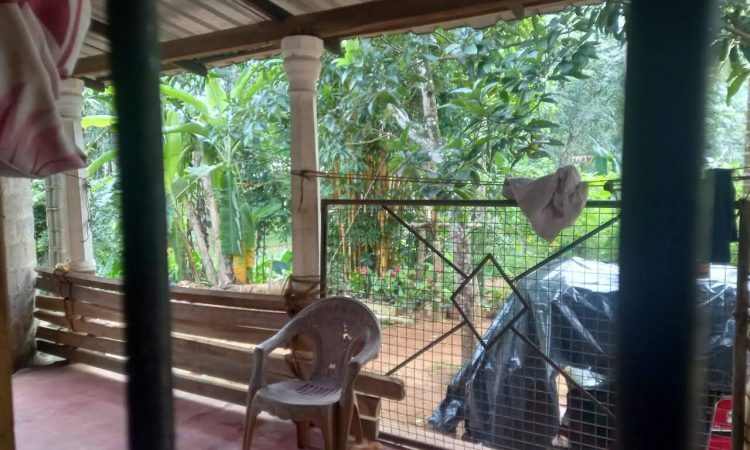 buy property in sri lanka