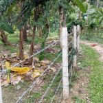 buy property in sri lanka