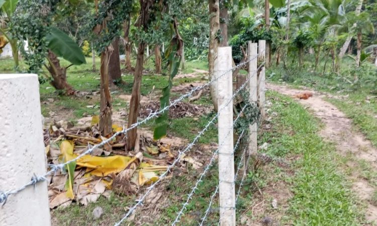 buy property in sri lanka