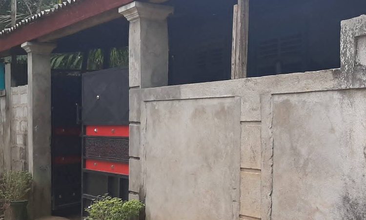 buy property in sri lanka