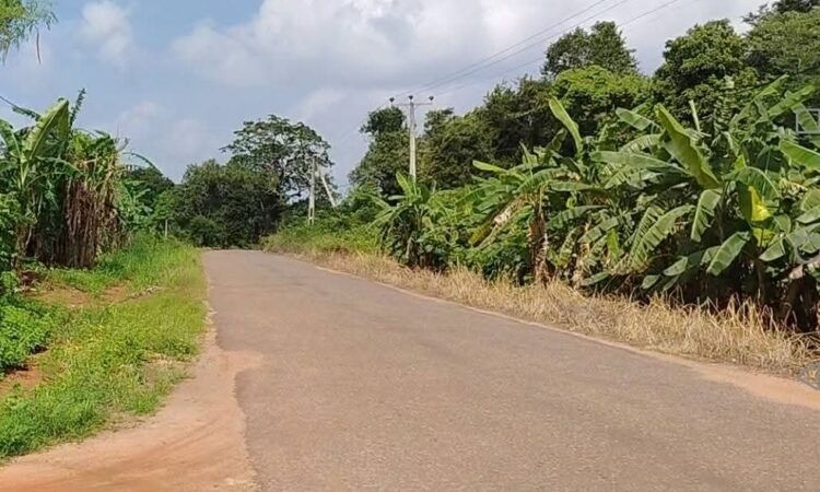 buy property in sri lanka