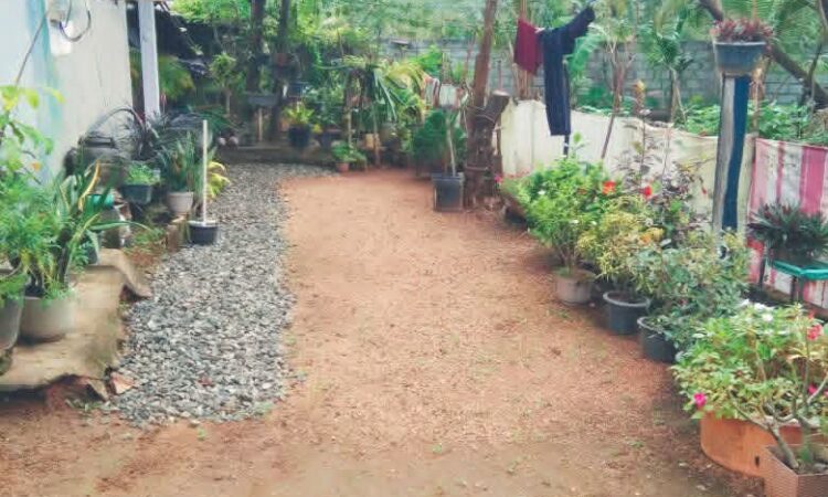 buy property in sri lanka